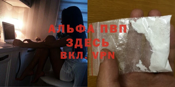 винт Инта