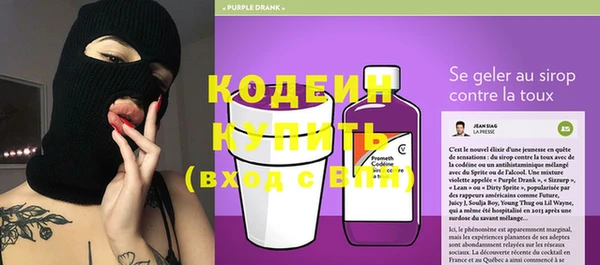 винт Инта