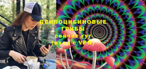 не бодяженный Инсар