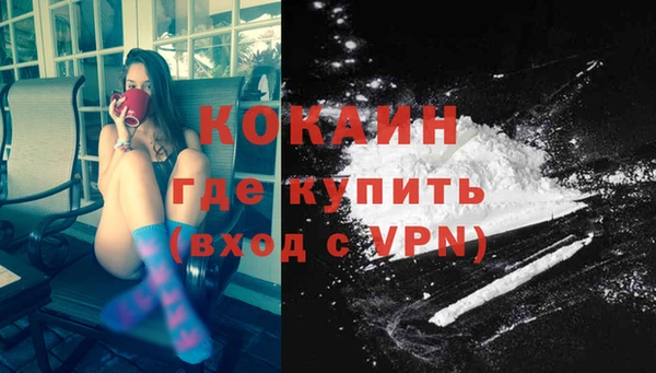 винт Инта