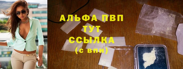 винт Инта