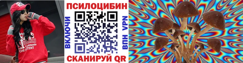 Купить где  Бузулук  Галлюциногенные грибы Cubensis 
