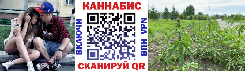 Купить где  Бузулук  Бошки Шишки SATIVA & INDICA 